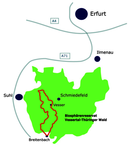 Natur pur: Wandern Sie im Vessertal im Thüringer Wald